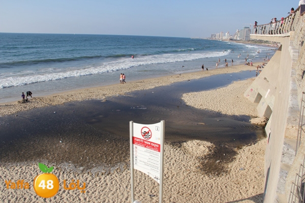 nakhom goldman majary (1).JPG